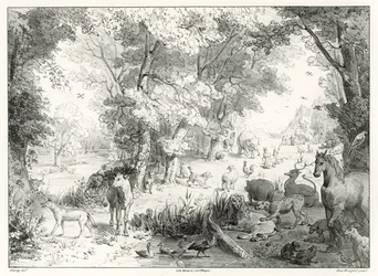 Tierra: el paraíso terrenal